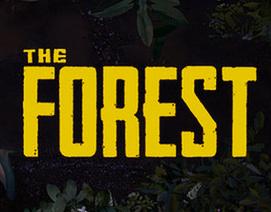 ɭ(The Forest)